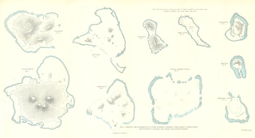 Darwin coral margining reefs - darwin—coral,
