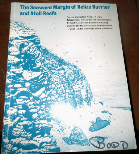 Geology sedimentology belize - geology,