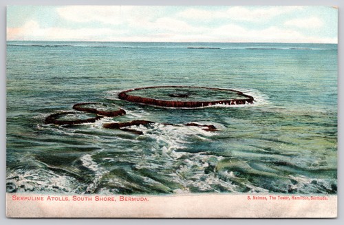 Bermuda south shore serpuline - bermuda,