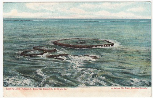 Bermuda serpuline atolls ppc - bermuda;,