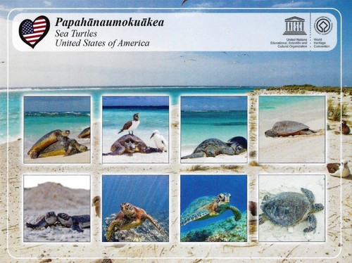 Cartolina hawaii - cartolina,