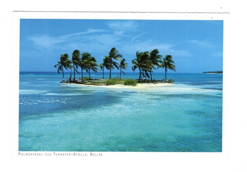 Cartolina isola delle palme - isola,